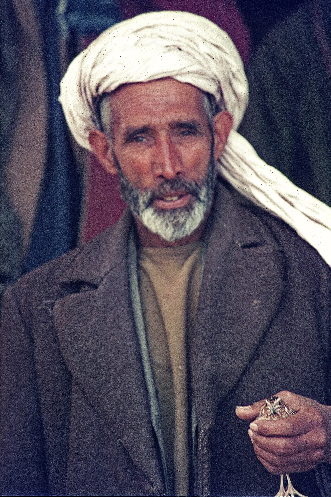 fighting-bird-in-hand-1972