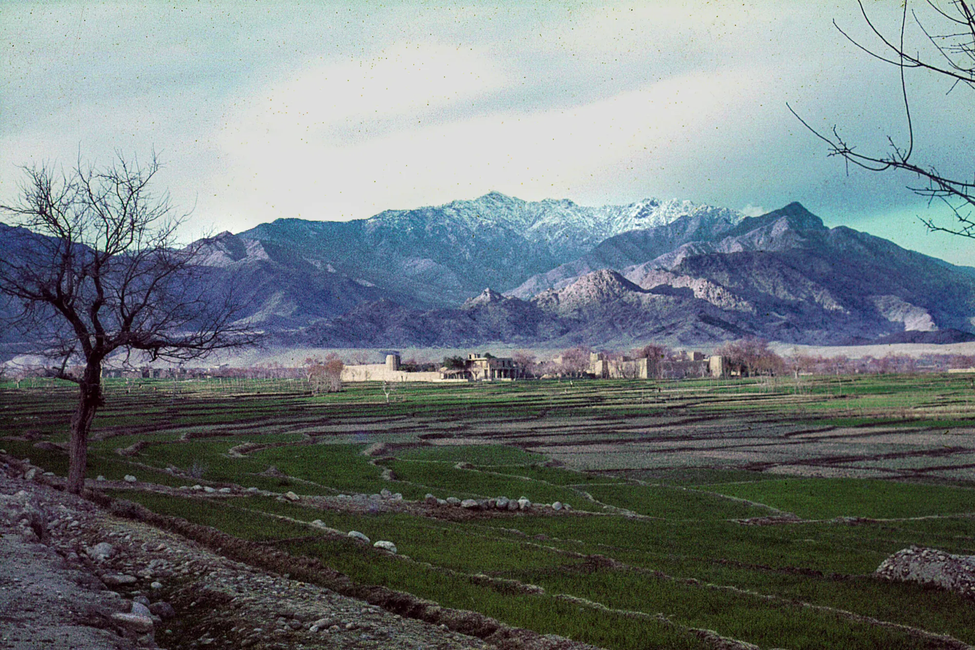 caravan-serai-1972