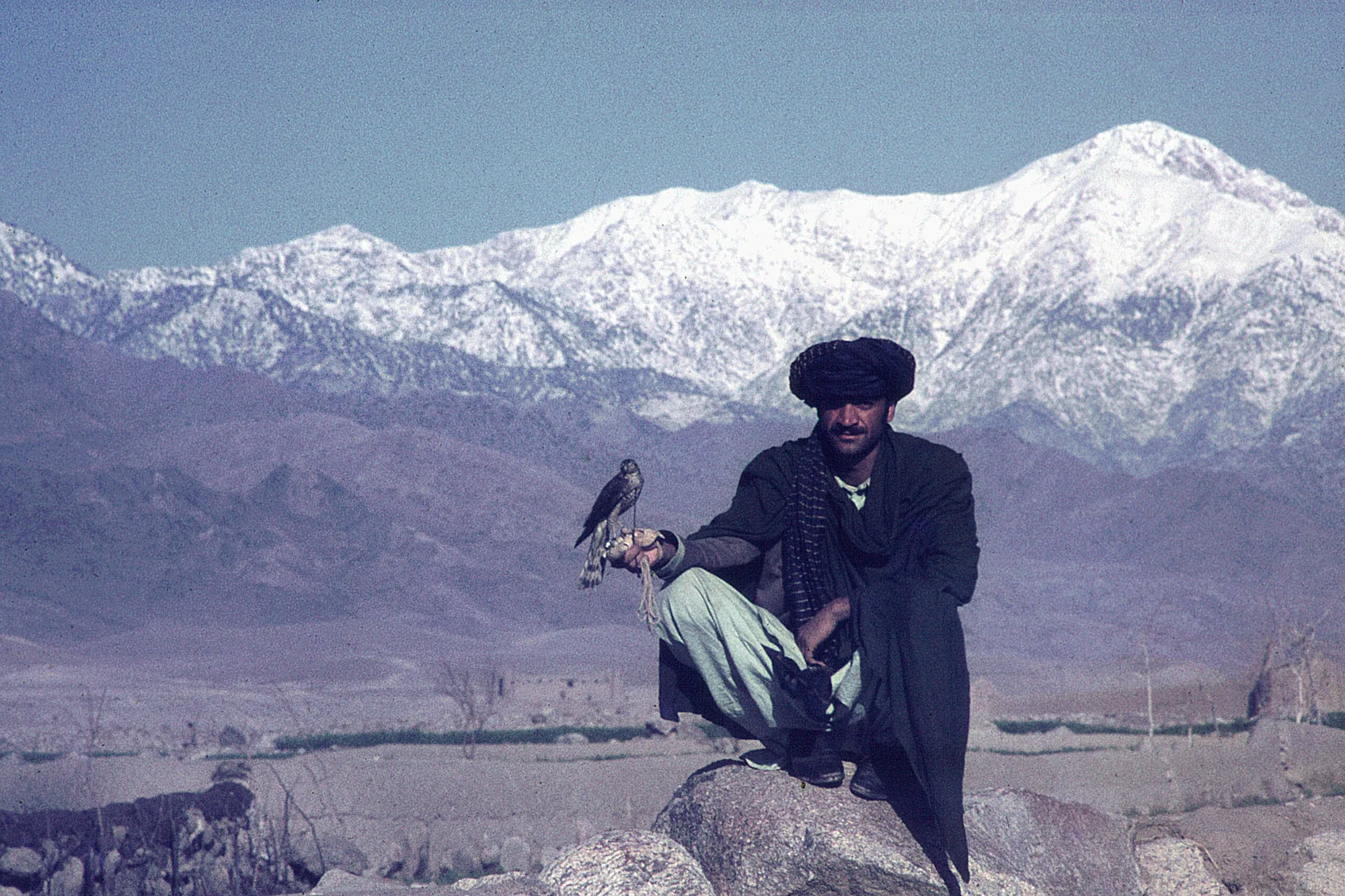 hindu-kush-falconer-1971